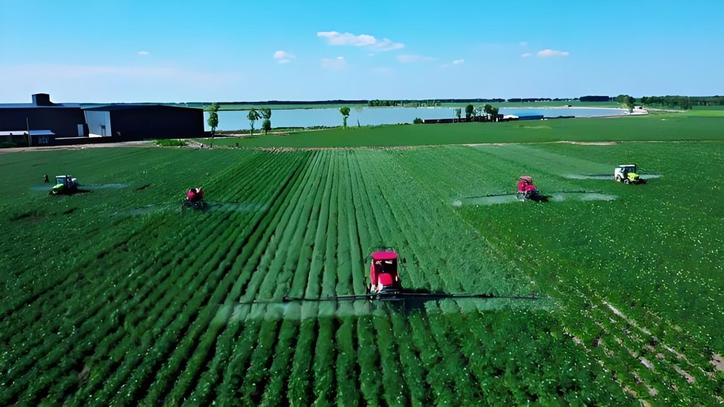 A Reliable Supplier from China